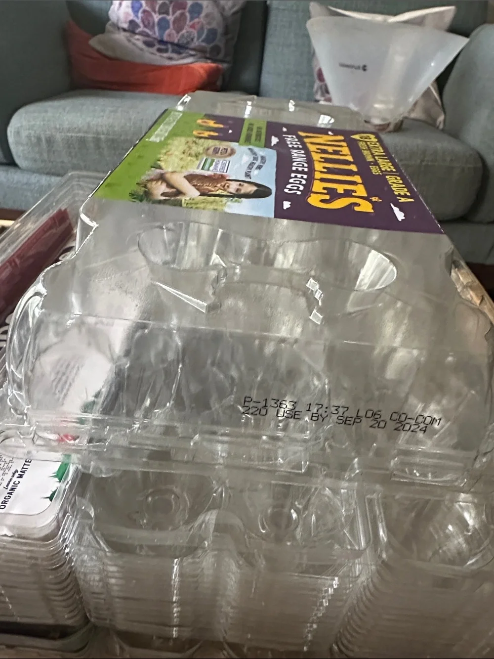 Clear Plastic Egg Carton lot